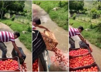 Fedenaga pidió audiencia con Tarek William Saab para hablar sobre crisis de agricultores