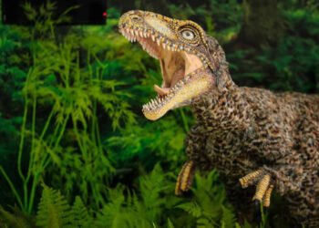Museo de Ciencias de Caracas expone un "dinosaurio venezolano" que vivió hace 201 millones de años
