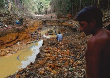 Los presidentes de la Amazonía se reúnen en Brasil para intentar detener la devastación de la selva