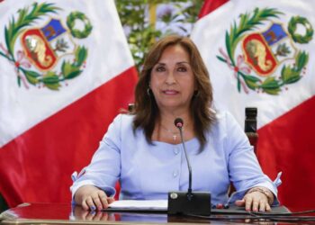 Dina Boluarte pide permiso para ir a Cumbre Amazónica en Brasil, primera salida como presidenta