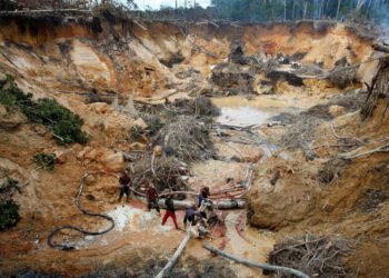 Obispo de Amazonas: “Nadie se hace responsable por el ecocidio en la Amazonía”