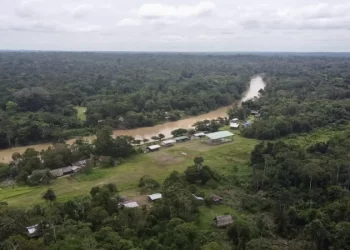 El "Sí" en consulta de Ecuador para cesar explotación petrolera en Yasuní llega a 58,99 %