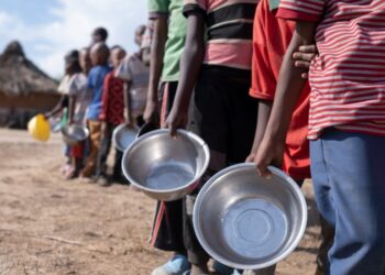 Un total de 250 millones de personas sufrieron inseguridad alimentaria en 2022