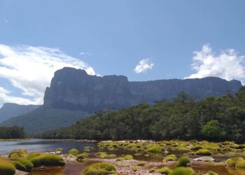Gobierno busca impedir que la Unesco compruebe existencia de minería ilegal en Canaima