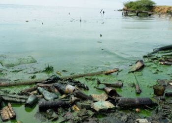 Reverol: "Hemos extraído 19.000 toneladas de desechos" del Lago