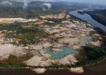 Venezuela determinará responsabilidades penales por "ecocidio" en la Amazonía