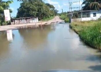 Barinas | Productores de Santa Inés y Santa Lucía reportan pérdidas por fallas eléctricas