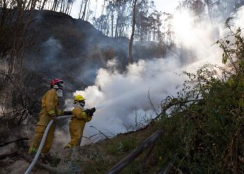 Controlado el 90 % de incendio forestal que afectó unas 100 hectáreas en el sur de Ecuador