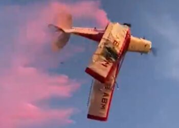 Avioneta se estrelló durante una revelación de género (+Video)