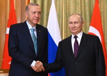 Putin reitera a Erdogan que, por ahora, no reanudará el acuerdo del grano