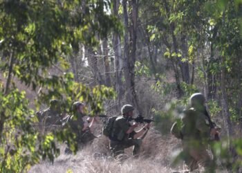 Palestina pide en La Haya un alto el fuego e investigar “la guerra de venganza” de Israel