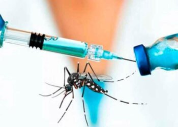 OMS recomienda la primera vacuna contra el dengue, cuya transmisión crece en Latinoamérica