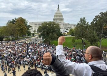 Una protesta dentro y fuera del Capitolio de EE.UU. pide el alto al fuego en Gaza