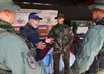 Incautan y destruyen 10,4 toneladas de cocaína en Zulia