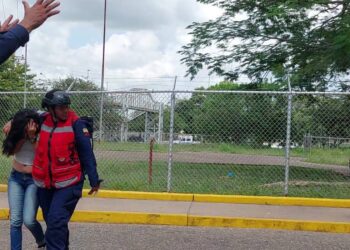 Abejas africanas atacaron a una mujer  embarazada y a otras personas en El Tigre  