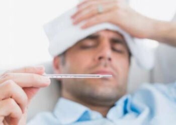 Argentina está en alerta por brotes de virosis febriles que afectan a equinos y humanos