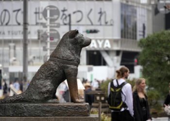 Hachiko: 100 años esperando a su dueño en la estación de tren de Shibuya