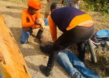 Un motorizado murió tras chocar contra un árbol en la Troncal 9