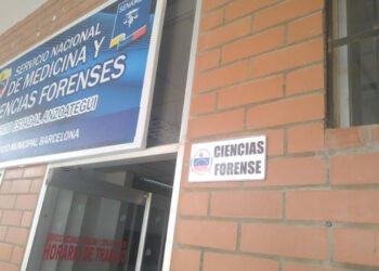 Hombre perdió la vida al caer de un poste en el municipio McGregor