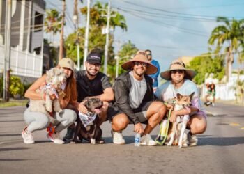 Super Pets Walk tendrá segunda edición