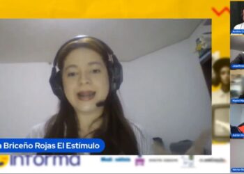 Expertos: Oficialismo generó desinformación para atacar a las primarias