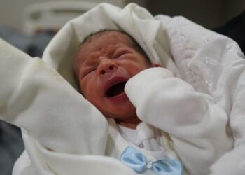 31 bebés prematuros están siendo estabilizados en UCI del sur de Gaza