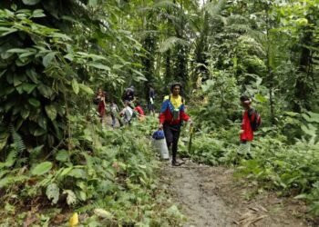 Funcionarios de EE.UU. trabajarán en Panamá con las autoridades migratorias del país