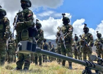 FANB "inmovilizó" un avión vinculado al narcotráfico