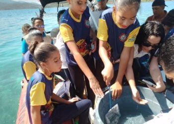 Parque Nacional Mochima celebró sus 50 años con actos culturales y liberación de 500 caballitos de mar