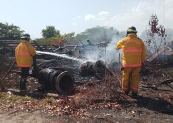 Bomberos de Valdez sofocaron incendio en el patio 9 del Puerto Internacional de Güiria