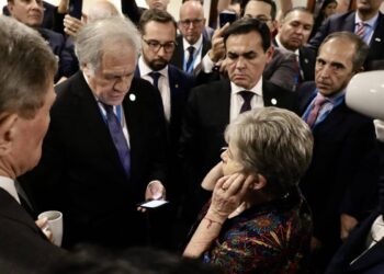 La OEA y la UE piden al Congreso de Guatemala que le entregue el poder a Arévalo (+ Video)