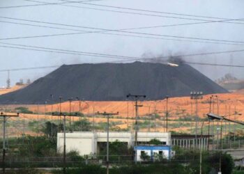 India recibió 546.200 toneladas de coque venezolano entre enero y noviembre de 2023