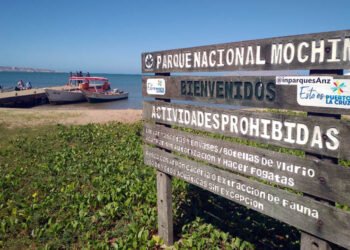 Defensor de ambiente calificó como "muy positiva" jornada en isla Chimana Grande