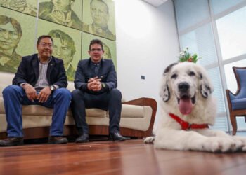 Luis Arce agradeció a Maduro por regalarle un perro Mucuchíes al que bautizó como Boyacá