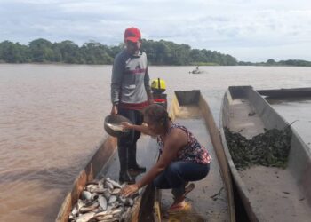 Pescadores de Guasdualito exigen que se les venda gasolina