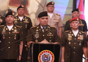 Padrino López: La FAN se mantiene alerta ante planes conspirativos