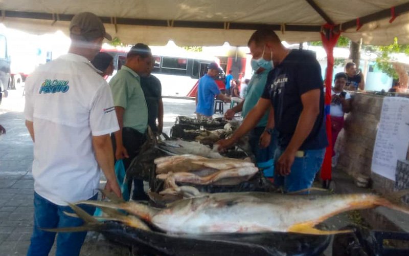 Programa Venezuela come pescado instaló punto de venta en el pórtico de Santa Catalina