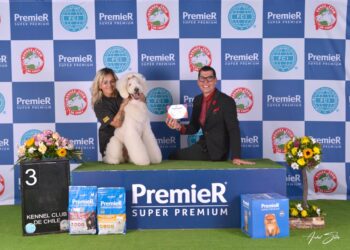 Gisela González, la groomer creativa que continúa conquistando Suramérica