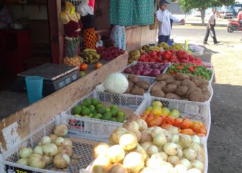 Sigue bajando el precio del tomate y la cebolla en mercado porteño