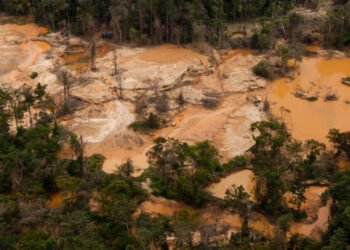 Clima 21: Al menos 33 ríos de la Amazonía venezolana están contaminados por la minería