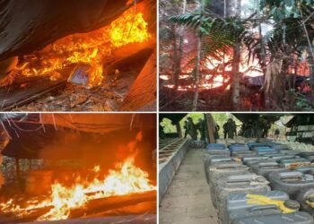 Venezuela incinera más de nueve toneladas de cocaína hallada en campamentos ilegales