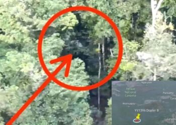 Localizaron avioneta siniestrada en el parque Canaima