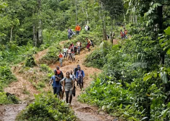 Más de 68.400 migrantes han cruzado el Darién en 2024, 22.000 más que un año antes