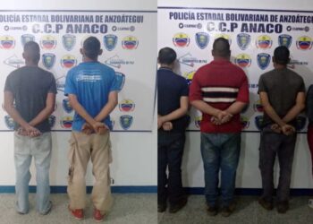 Seis personas presuntamente involucradas en hurto de material estratégico fueron capturadas por Polianzoátegui