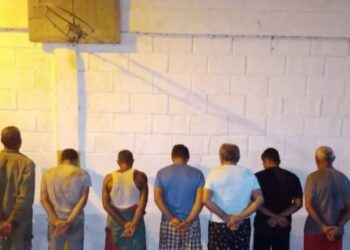 Arrestaron a siete individuos por tala ilegal de apamates