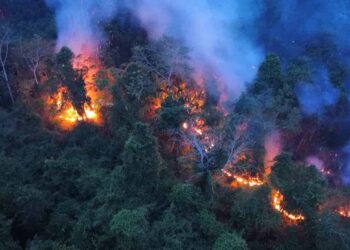 Alerta en Venezuela, Brasil y Bolivia por emisiones de incendios
