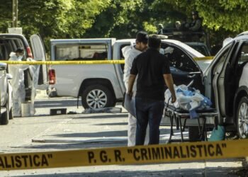 Cinco candidatos fueron asesinados en México en enero, según una ONG