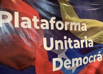 PUD denuncia que el Gobierno pretende diseñar unas elecciones antidemocráticas