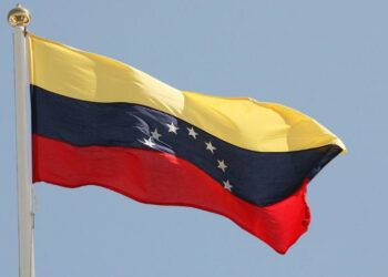 Venezuela felicita a Mauritania por recibir la presidencia rotatoria de la Unión Africana