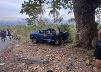 Sucre | Dos jóvenes murieron al impactar su vehículo contra un árbol en la Troncal 10